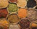 Algérie, Maghreb, méditerranée, agriculture, agroalimentaire, agriculteur, alimentaire, alimentation, blé, céréales, légumes secs